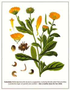 2015_07_28_10_33_06.pdf000